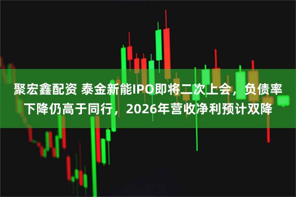 聚宏鑫配资 泰金新能IPO即将二次上会，负债率下降仍高于同行，2026年营收净利预计双降